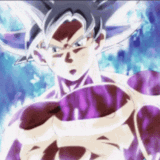 ULTRA INSTINCT
